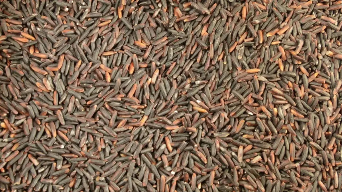 Gdzie kupić czarny ryż w Polsce? Sprawdź najlepsze miejsca i ceny