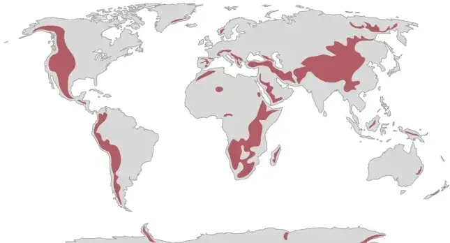 Jakie jest ciśnienie w górach i jak wpływa na zdrowie? Praktyczne porady dla turystów