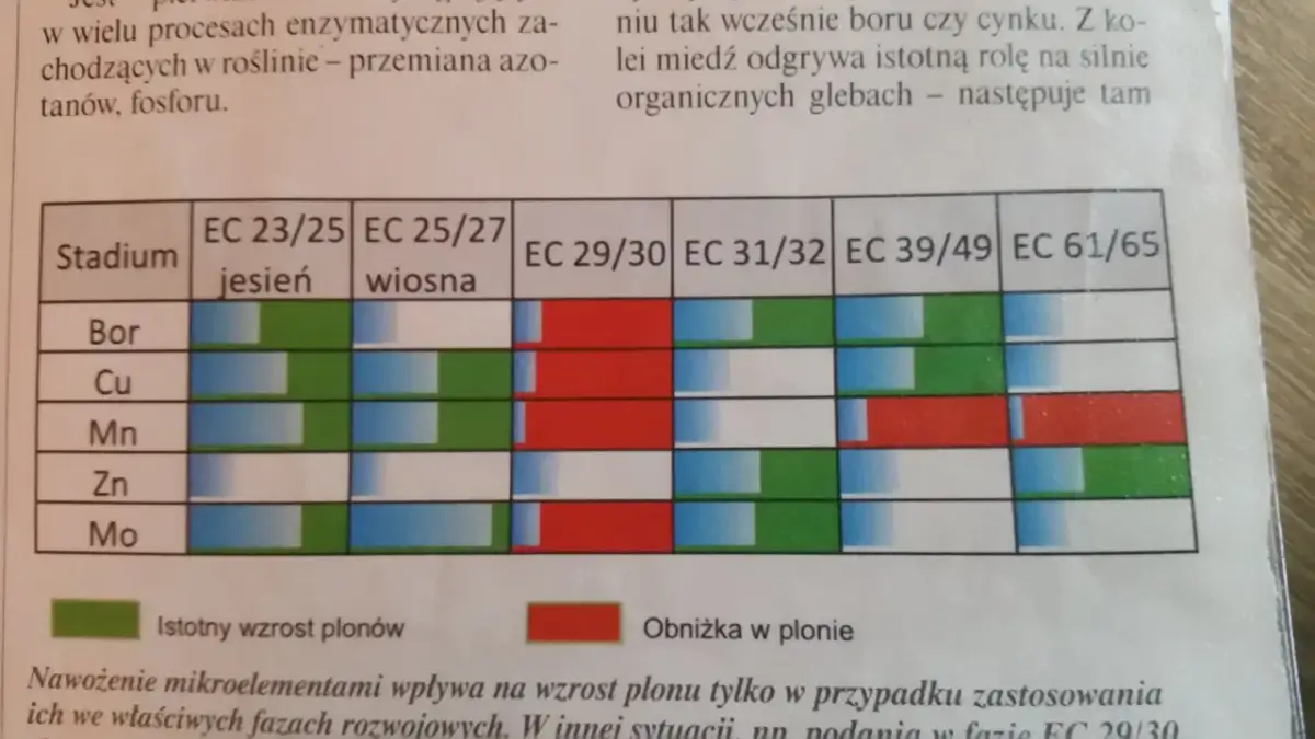 Plonvit zboża z czym łączyć, aby uniknąć błędów w uprawie