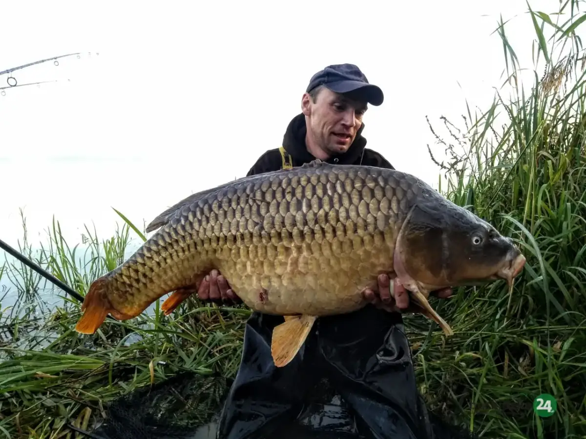 Różany Potok: Karpie 20kg, zasady, cennik czy warto tu jechać?
