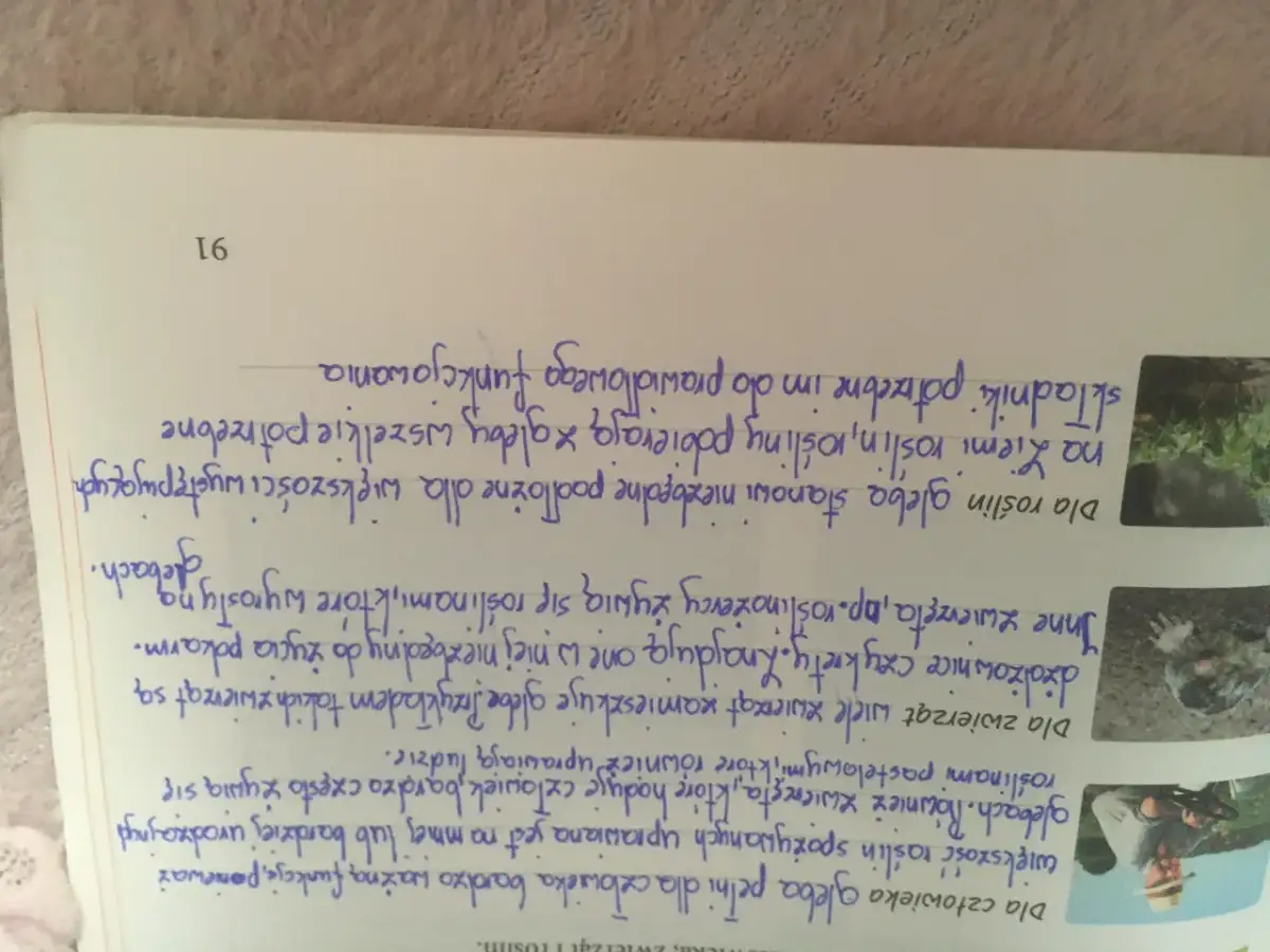 Jakie znaczenie ma gleba dla człowieka i jak wpływa na nasze życie