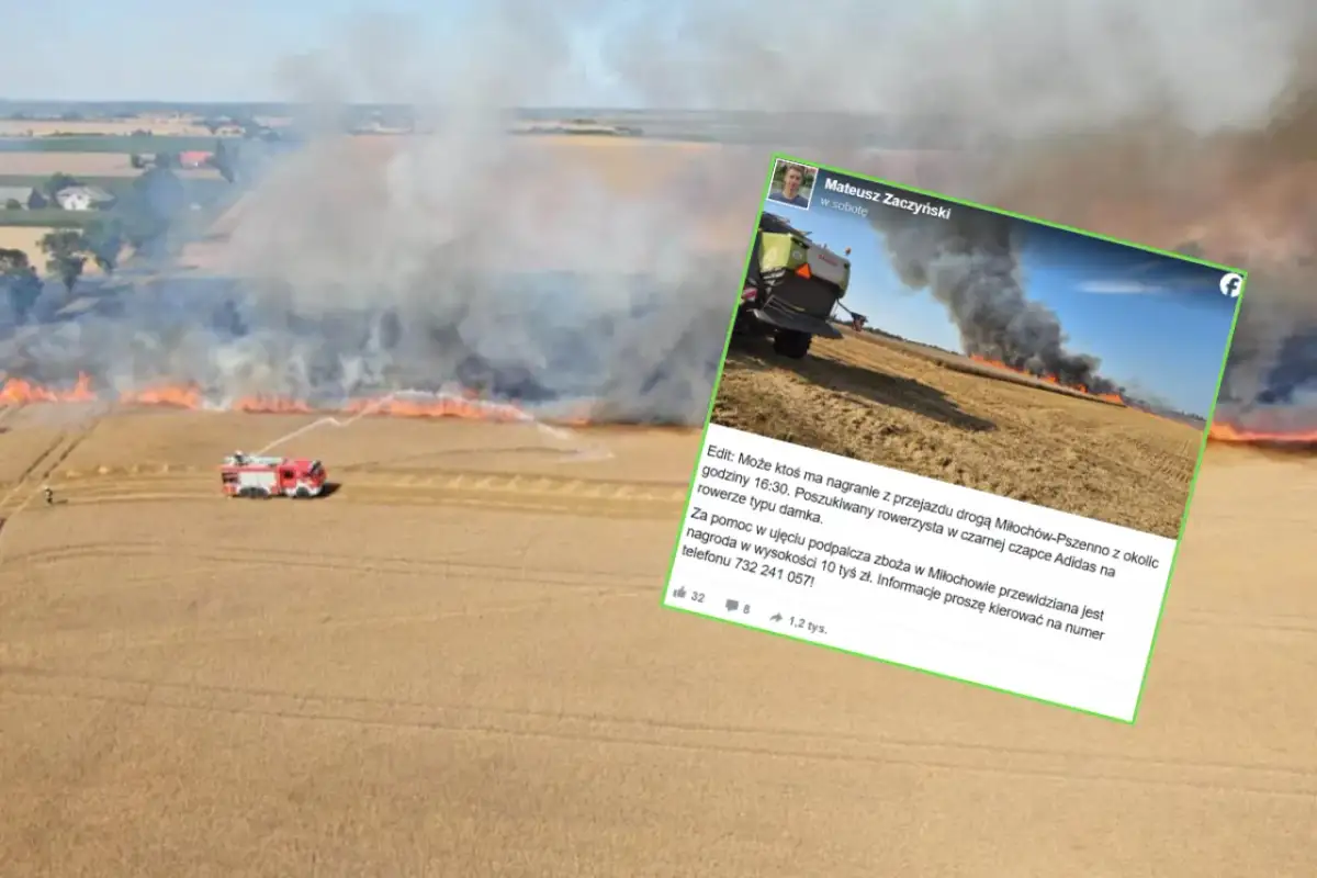 Pożar zboża na pniu – co to znaczy i jak uniknąć tragedii?