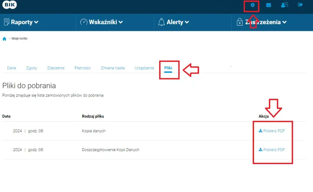 Raport BIK: Płatny czy darmowy? Co musisz wiedzieć przed kredytem?