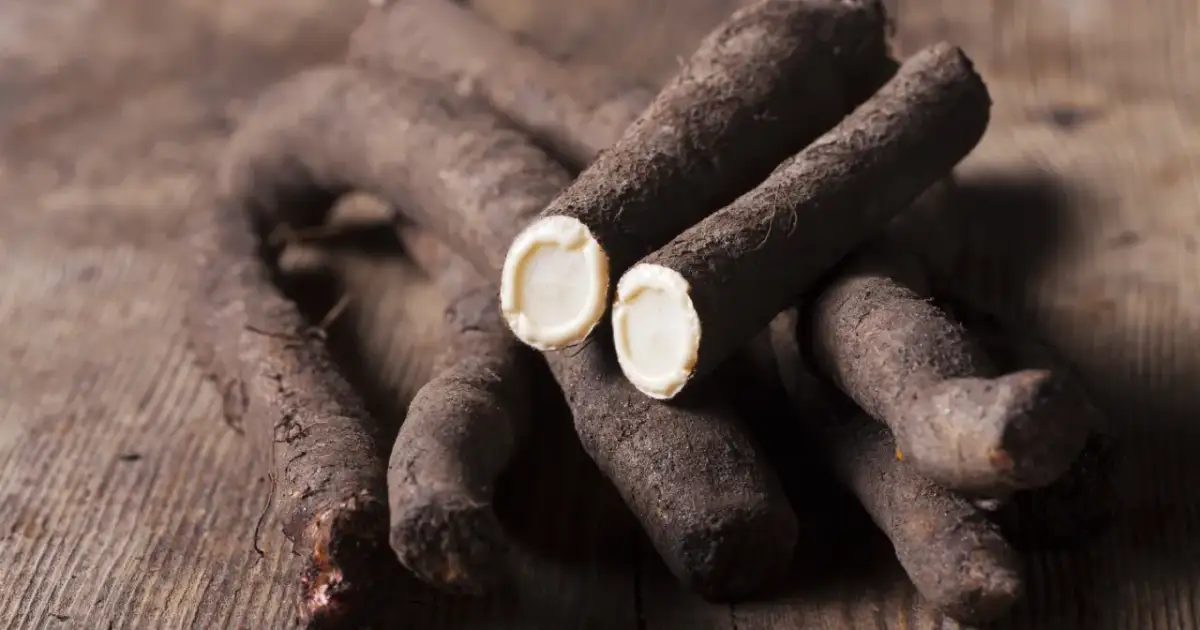 Kilka korzeni skorzonery, zwanej też czarnym korzeniem, leży na drewnianym blacie. Przekrojone końcówki ukazują biały, kremowy miąższ.