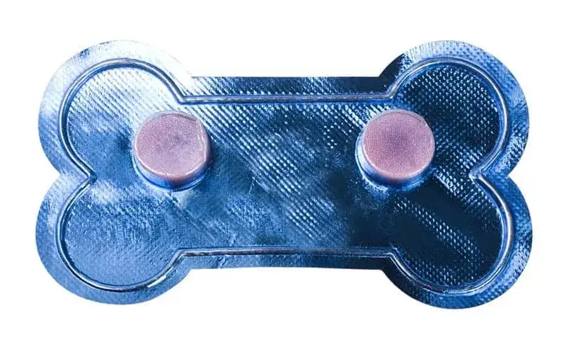 Opokan dla psa ile razy dziennie - uniknij błędów w dawkowaniu