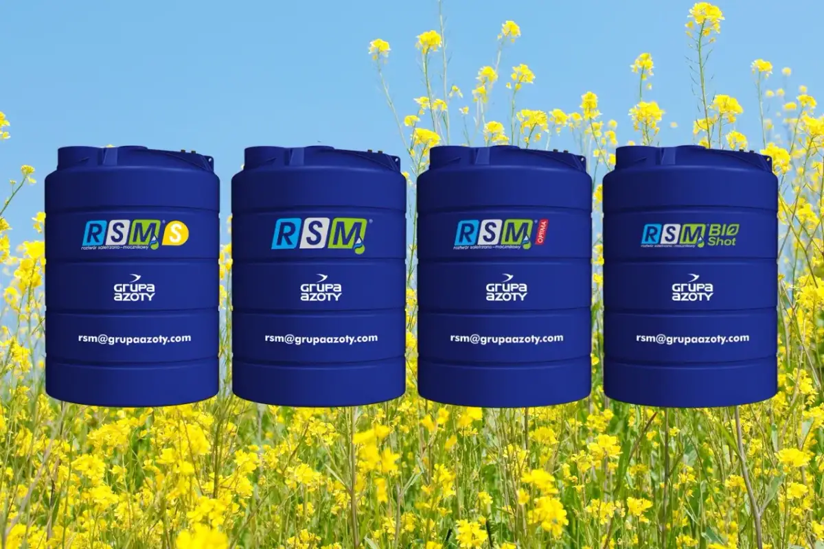 Jakie nawozy stosować pod pszenżyto, by uzyskać wysokie plony?