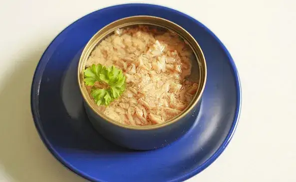 Ile kalorii ma tuńczyk w oleju roślinnym? Zaskakujące różnice!