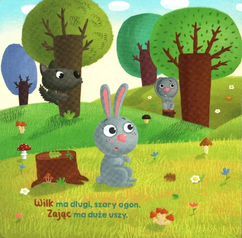 Kto się kryje w lesie - odkryj magiczny świat edukacyjnej książki