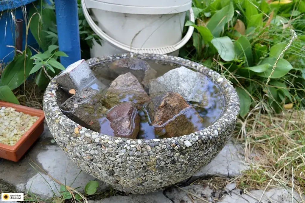 Poidło dla ptaków DIY: 5 pomysłów. Zbuduj je łatwo i pomóż!