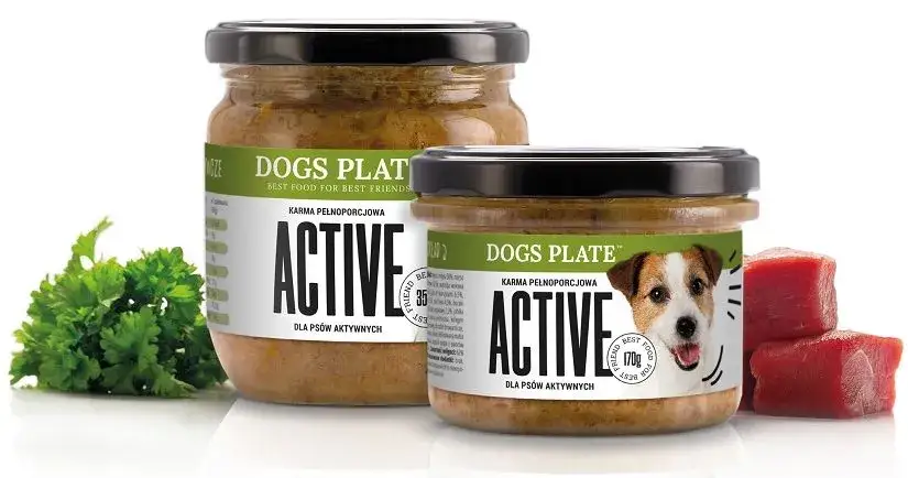 Jaka karma dla rocznego psa: uniknij błędów w wyborze jedzenia