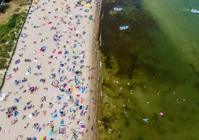 Czy można się kąpać w Bałtyku? Sprawdź, gdzie jest to niebezpieczne
