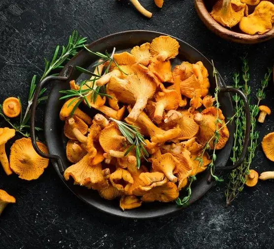 Co zrobić z kurkami na obiad? Pyszne przepisy, które zaskoczą