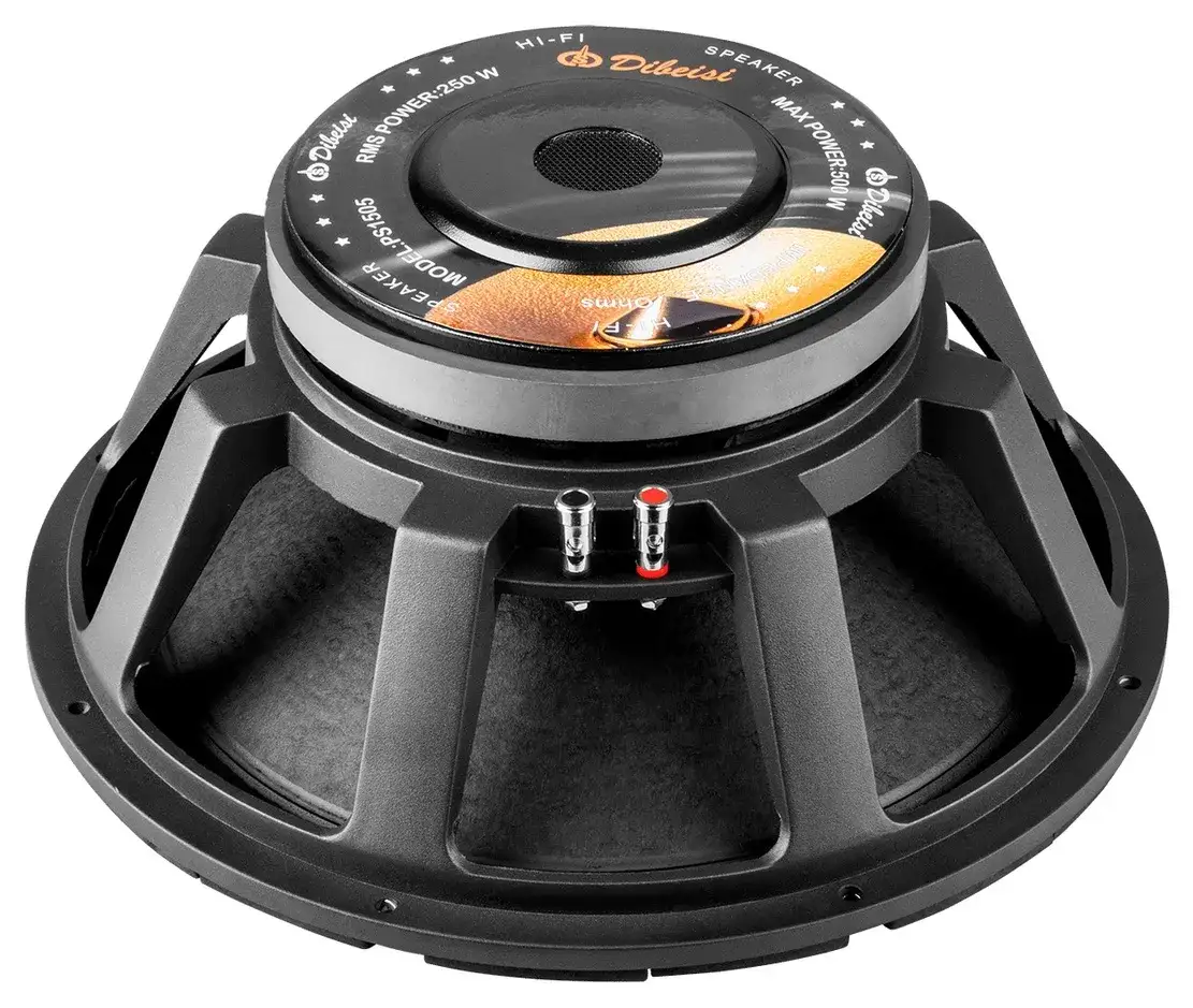 15-calowy głośnik estradowy: przewodnik po wyborze i parametrach