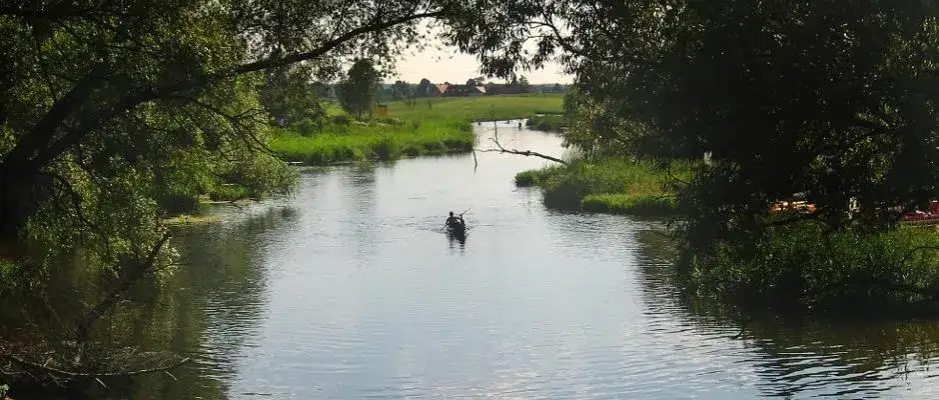 Ile rzek wpływa do Bałtyku i dlaczego to ma znaczenie dla ekosystemu