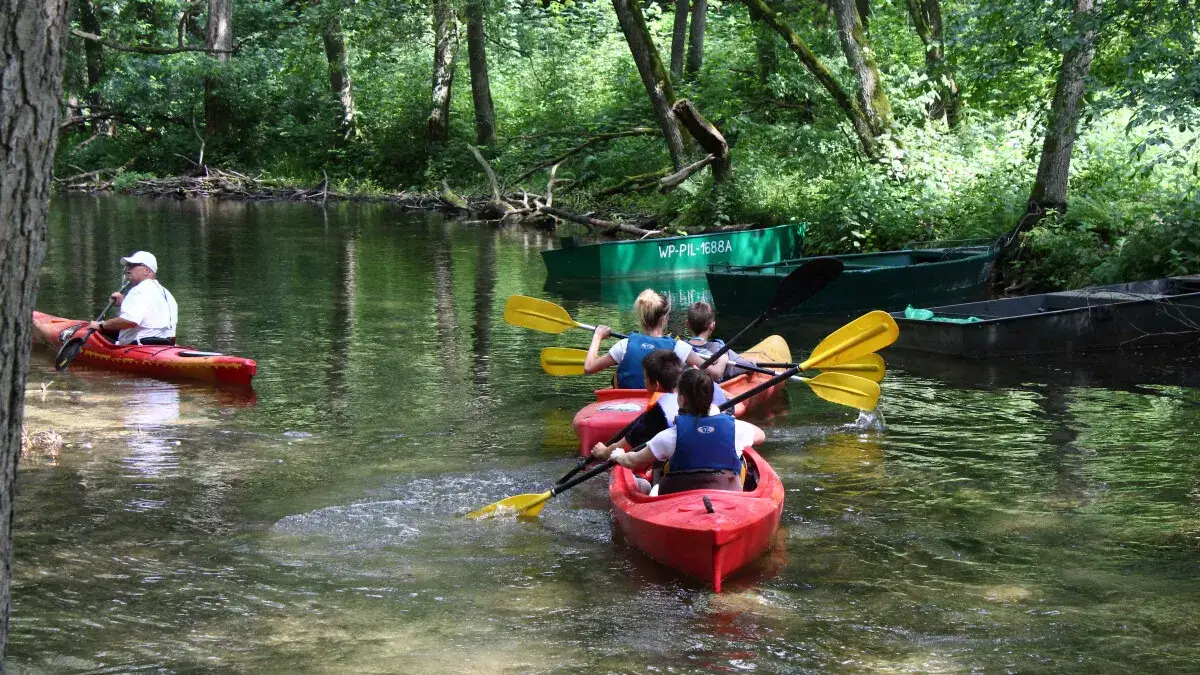 Spływy kajakowe Piła: Gwda, Piława, Rurzyca trasy, ceny, porady