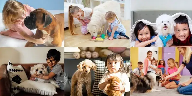 Jaki pies dla dzieci? Wybierz idealnego przyjaciela dla rodziny!
