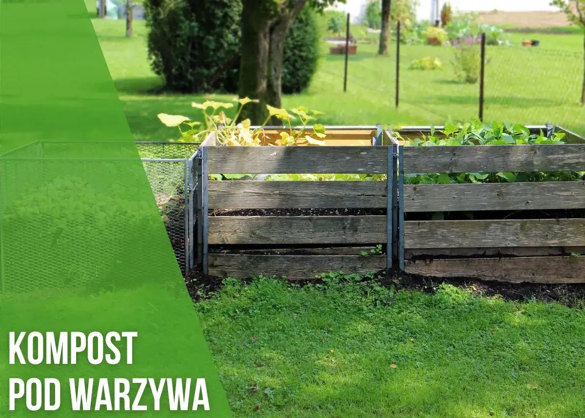 Kiedy kompost pod warzywa? Odkryj najlepsze terminy i korzyści