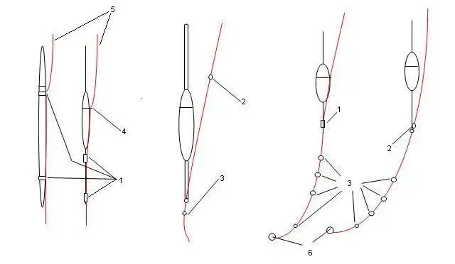 Spławik stały czy przelotowy? Decyzja, która zwiększy brania