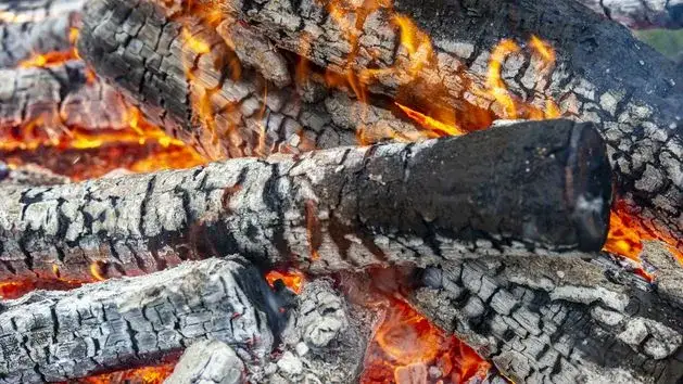 Palenie śmieci jaki artykuł? Poznaj kary i przepisy prawne