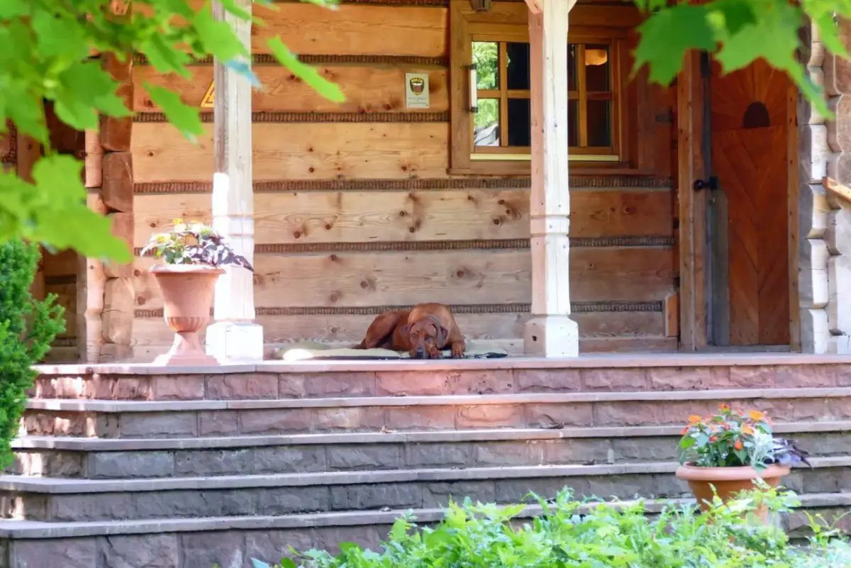Jak wyremontować stary drewniany dom? Poradnik, koszty i błędy