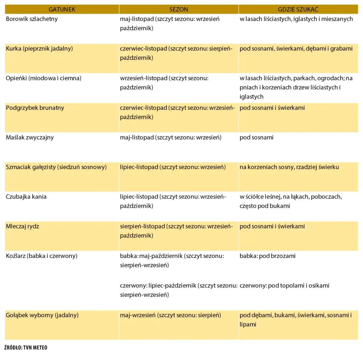 Od kiedy sezon na grzyby? Najważniejsze informacje i daty