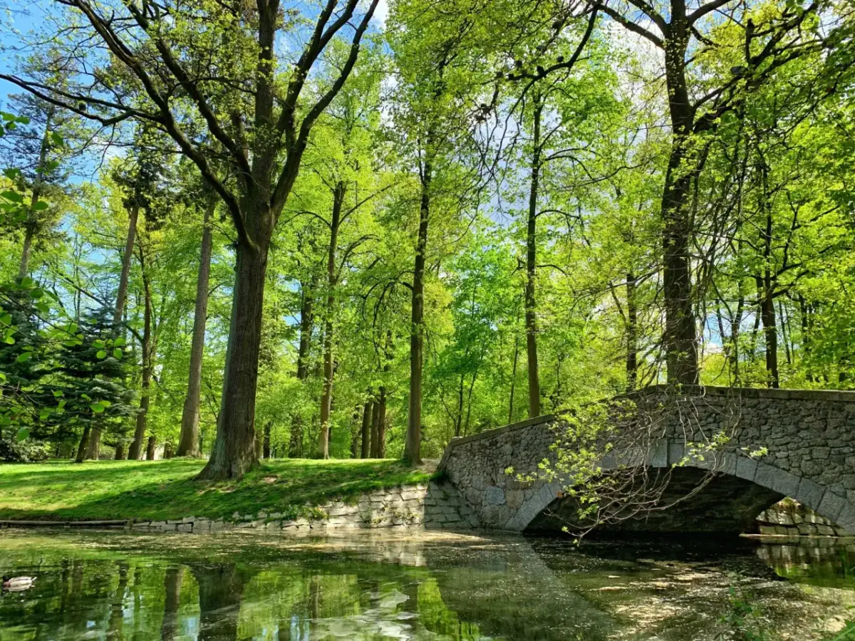 Jelenia Góra: Gdzie na spacer? Od Karkonoszy po parki