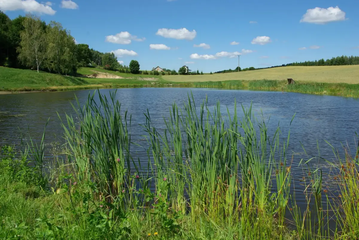 Wędkarstwo Koszałkowo-Wieżyca: Przewodnik, Cennik i Atrakcje