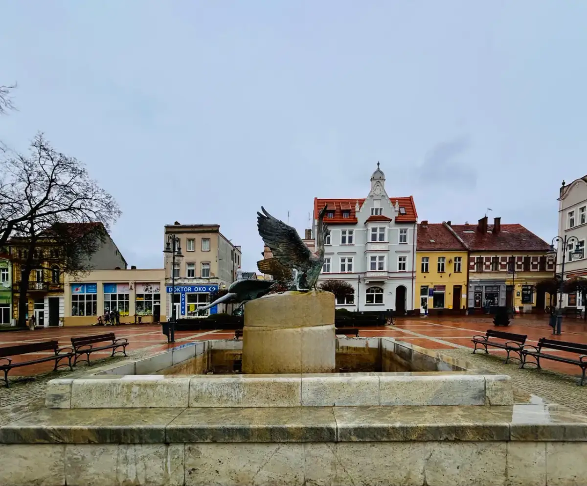 Najlepsze atrakcje w Tucholi, które musisz zobaczyć na własne oczy