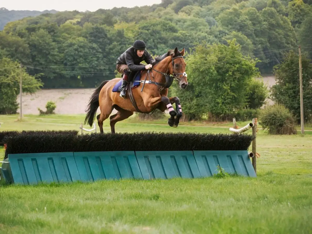 Bluza do jazdy konnej: Jak się nazywa i którą wybrać?