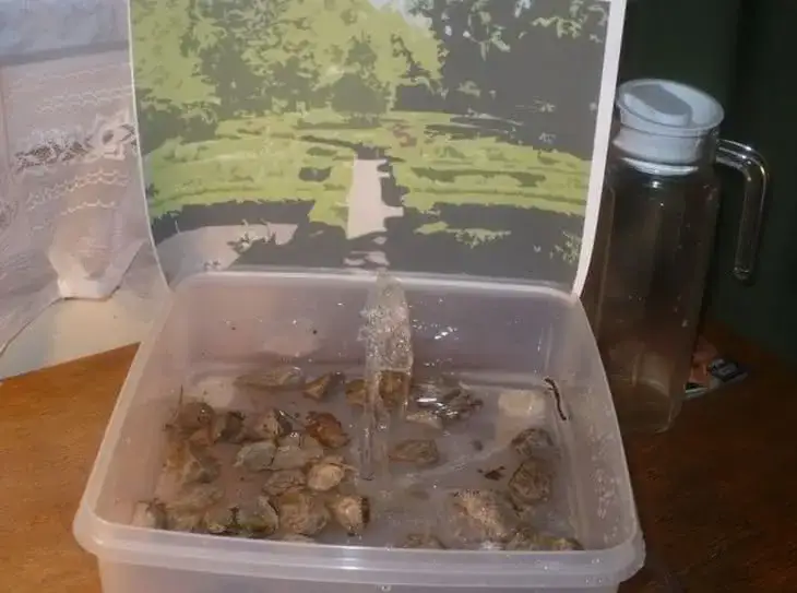 Jak zrobić fontannę bez prądu – proste metody i materiały DIY