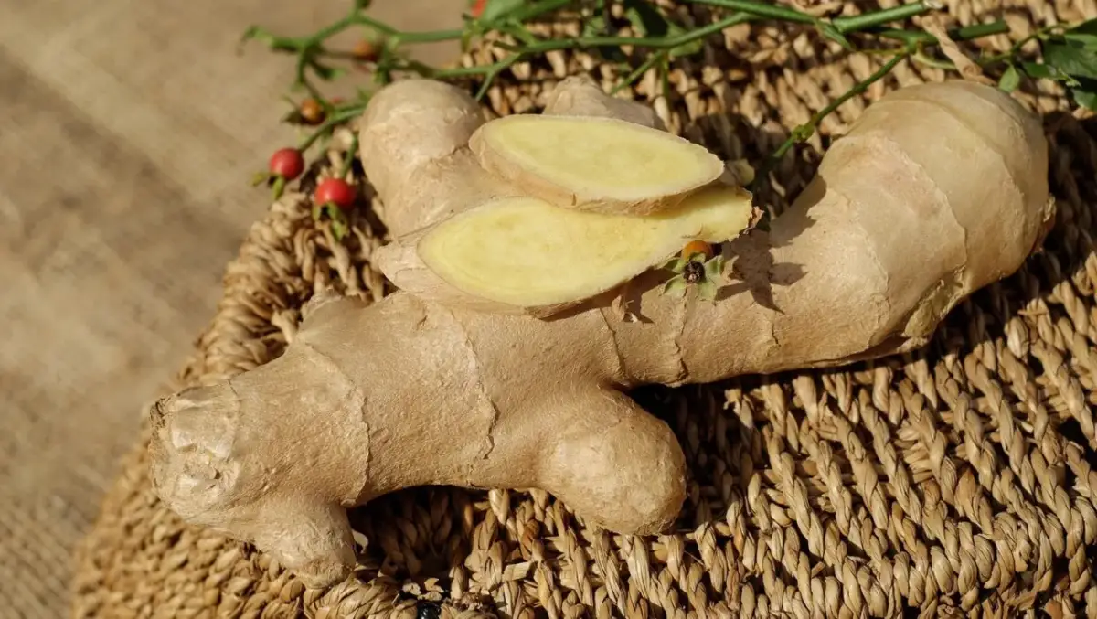 Uprawa imbiru w domu: Poradnik krok po kroku (2024)