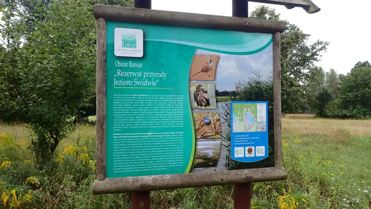 Jezioro Świdwie: Odkryj unikalne bogactwo przyrody i atrakcje