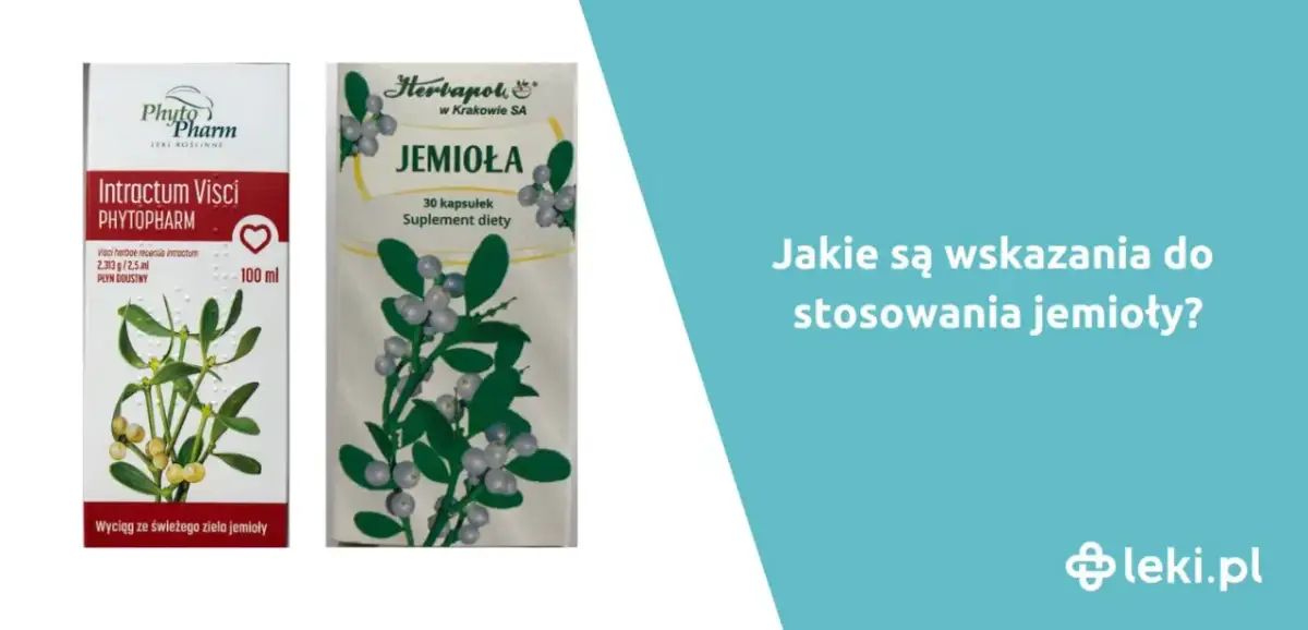 Jak zrobić napar z jemioły i cieszyć się jego zdrowotnymi właściwościami