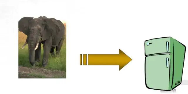 Zagadka jak włożyć słonia do lodówki – zaskakująca odpowiedź, która bawi