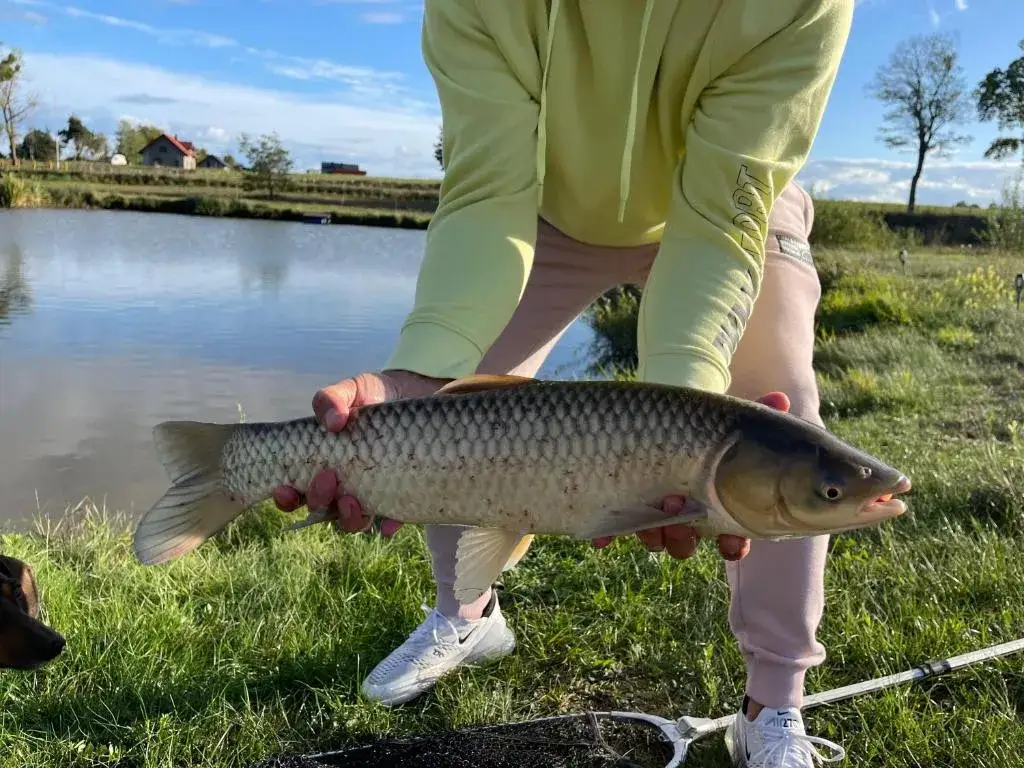Jezioro Pauzeńskie: raj dla wędkarzy i rodzin z dziećmi