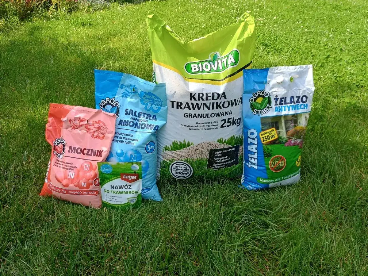 Jaki nawóz do trawnika wybrać, aby cieszyć się zdrową murawą?