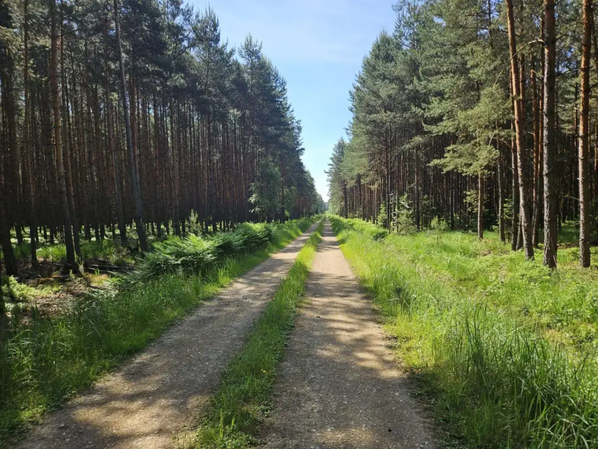 Trasy rowerowe Opole: odkryj najpiękniejsze szlaki i atrakcje