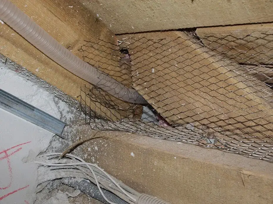 Skuteczne sposoby na zabezpieczenie poddasza przed kunami i ich szkodami