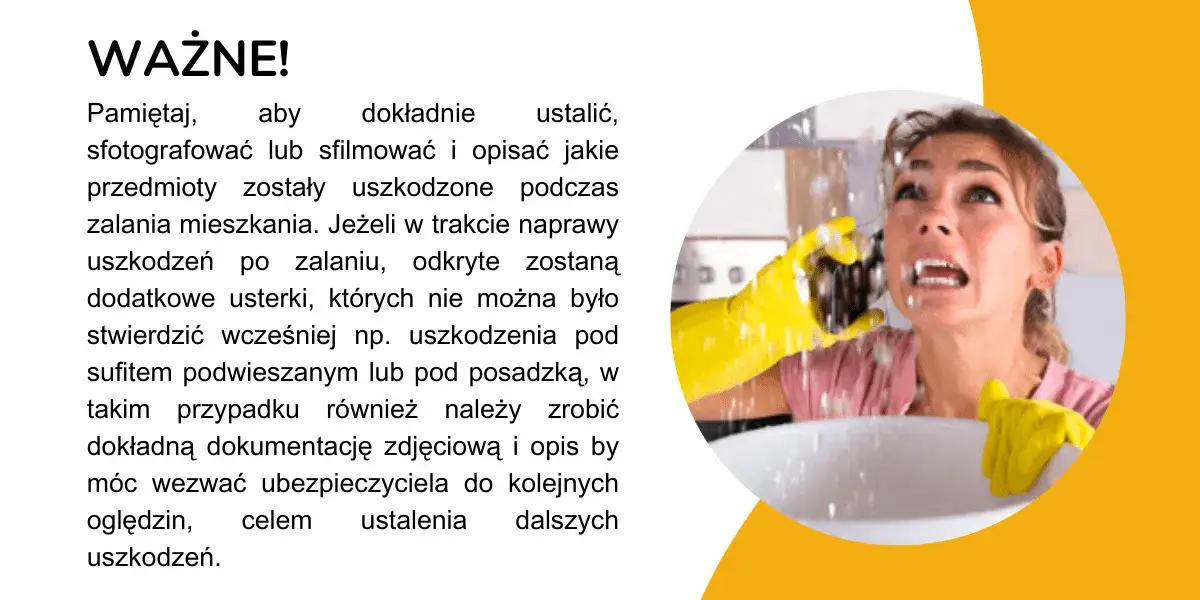 Terminy zgłoszenia szkody po zalaniu: Jak nie stracić odszkodowania?
