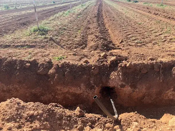 Riego por goteo subterráneo: mejora la eficiencia del agua y cultivos
