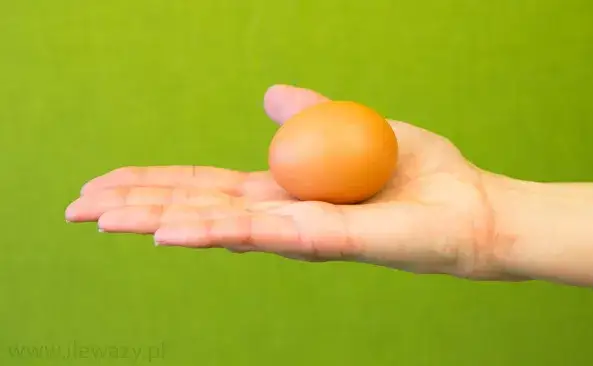 Ile kalorii ma jajko? Rozmiar i przygotowanie mają znaczenie!
