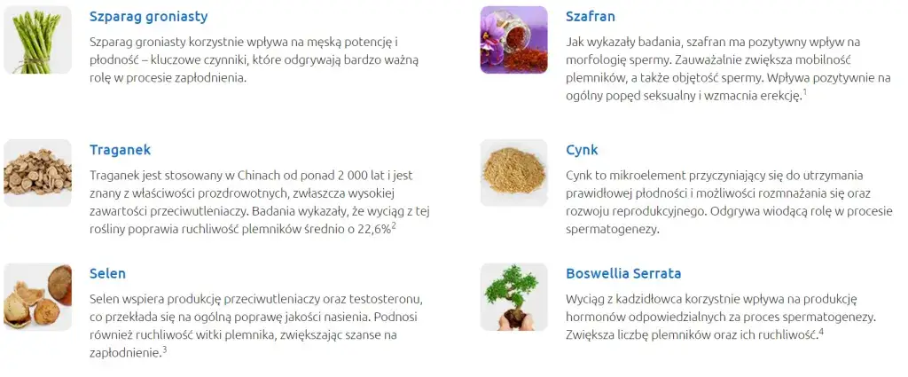 Złe wyniki nasienia? Sprawdź, co dalej i jak poprawić płodność