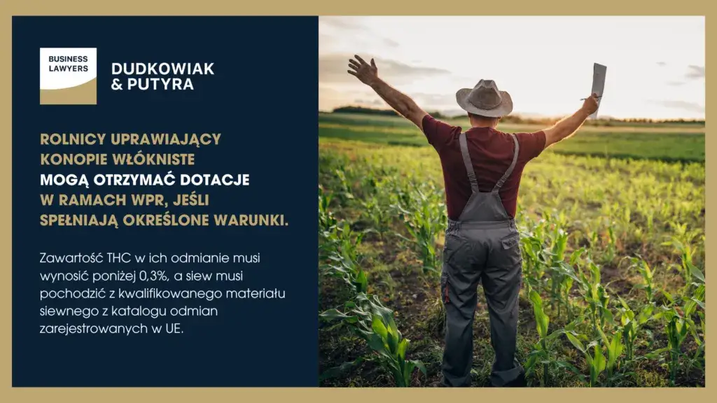 Marihuana w Polsce: Status prawny, kary, medyczna i CBD