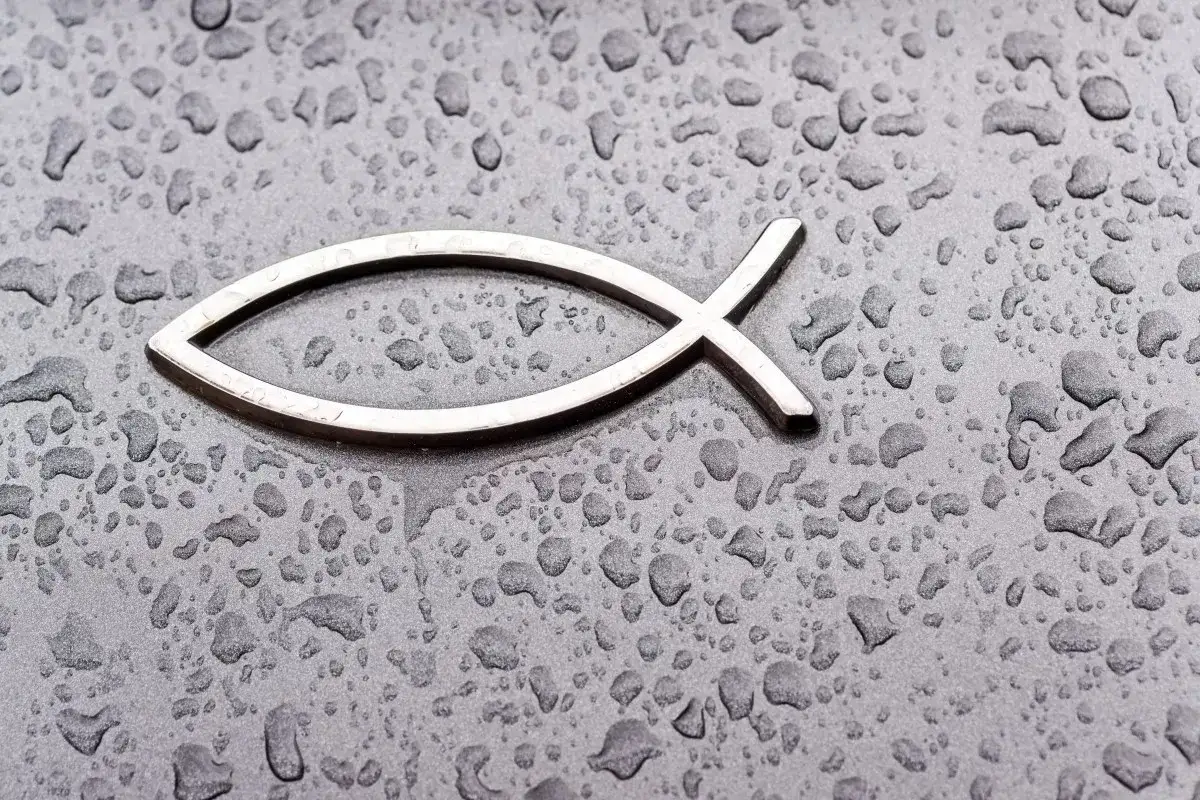 Co oznacza ryba na samochodzie? Zaskakujące znaczenie symbolu