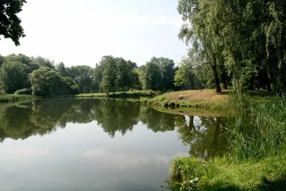 Najlepsze atrakcje w parku Świerklaniec, które musisz zobaczyć