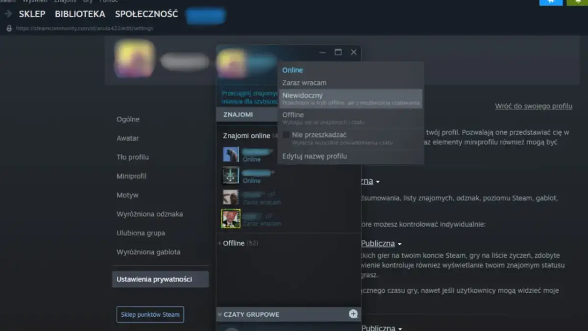 Okno Steam z opcjami statusu: Online, Zaraz wracam, Niewidoczny, Offline, Nie przeszkadzać.