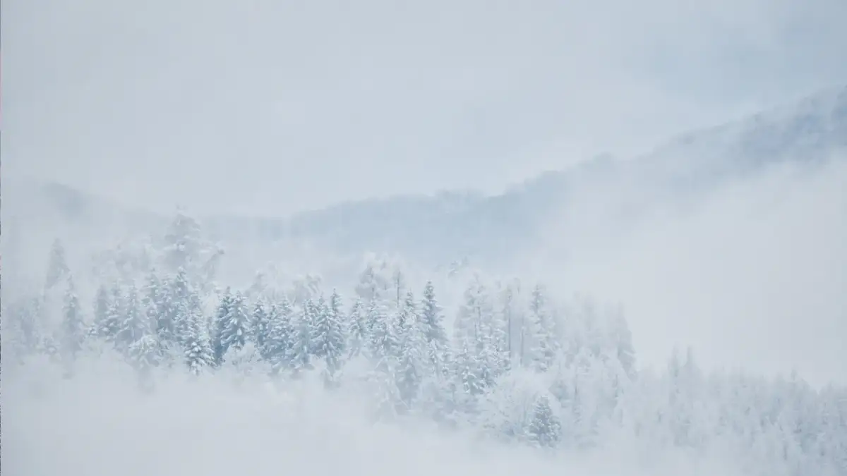 Szlaki w Bieszczadach zimą: Otwarte, ale czy jesteś gotowy?