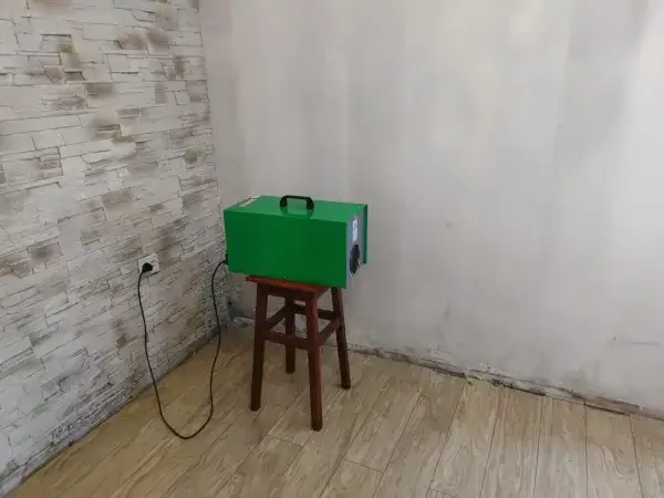 Skuteczne sposoby na odgrzybianie mieszkania i zapobieganie pleśni