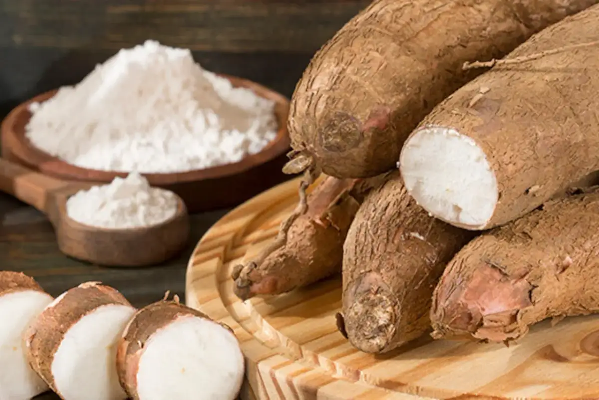 Mąka maniokowa a tapioka: Raz na zawsze rozwiej wątpliwości!