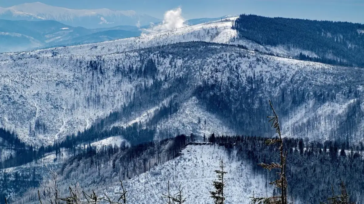 Miasta Zimowe: Zwiedzaj urokliwe miejsca w zimowej aurze